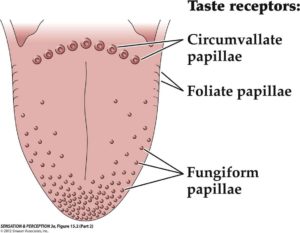 using a tongue scraper